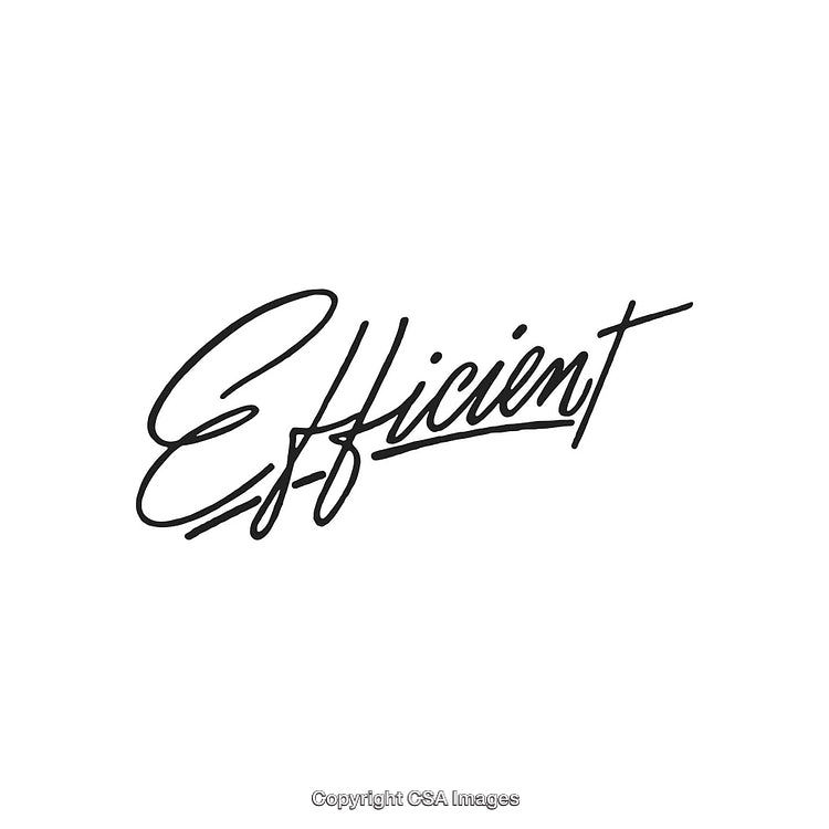 Elegant Handwritten Word 'Efficient' Black Text on a White Background