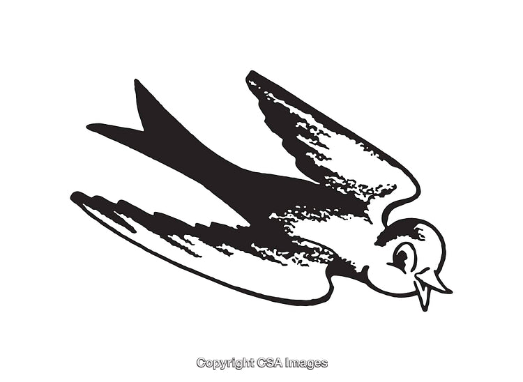 Black and White Line Art Illustration of a Flying Bird Symbol