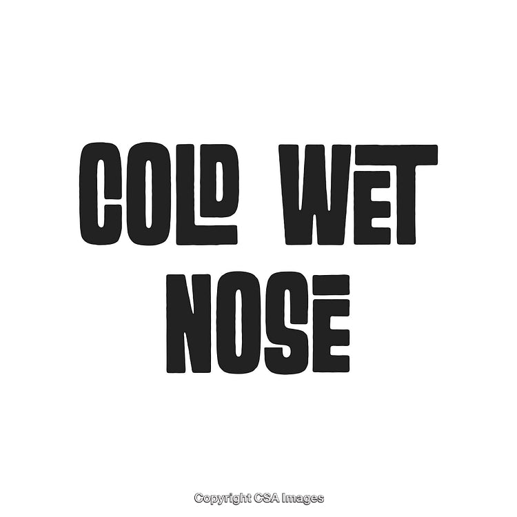 Creative Design Displaying the Words 'Cold Wet Nose' in Bold Typography