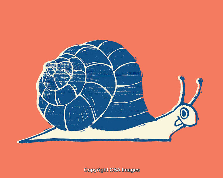Artistic Blue Snail Illustration on a Peach Background in Minimalist Style