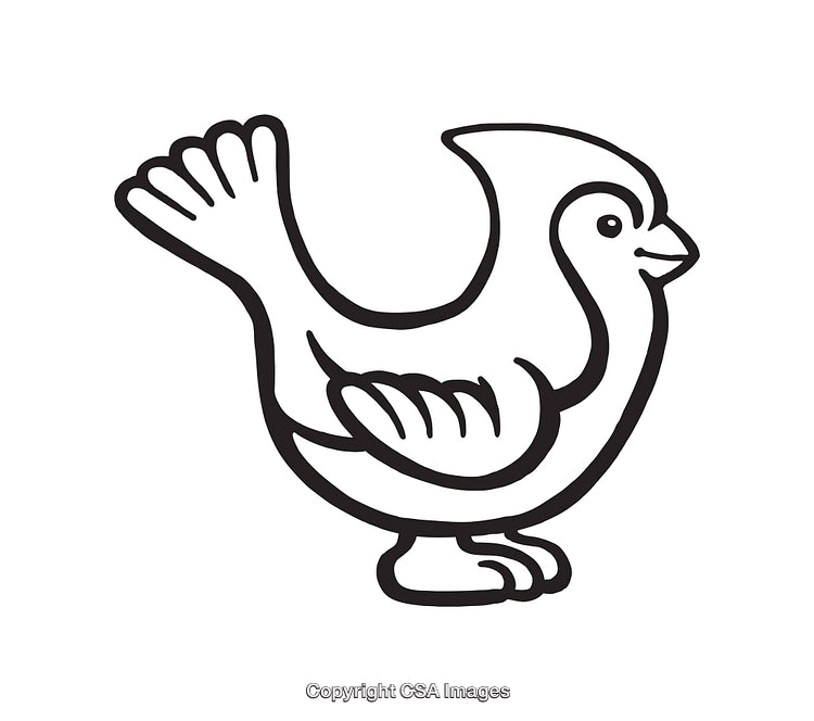 Black And White Line Art of a Stylized Bird Illustration