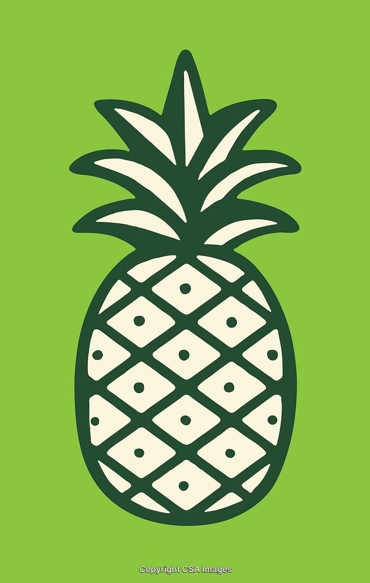 Minimalist Pineapple Illustration with Green Background and Bold Lines