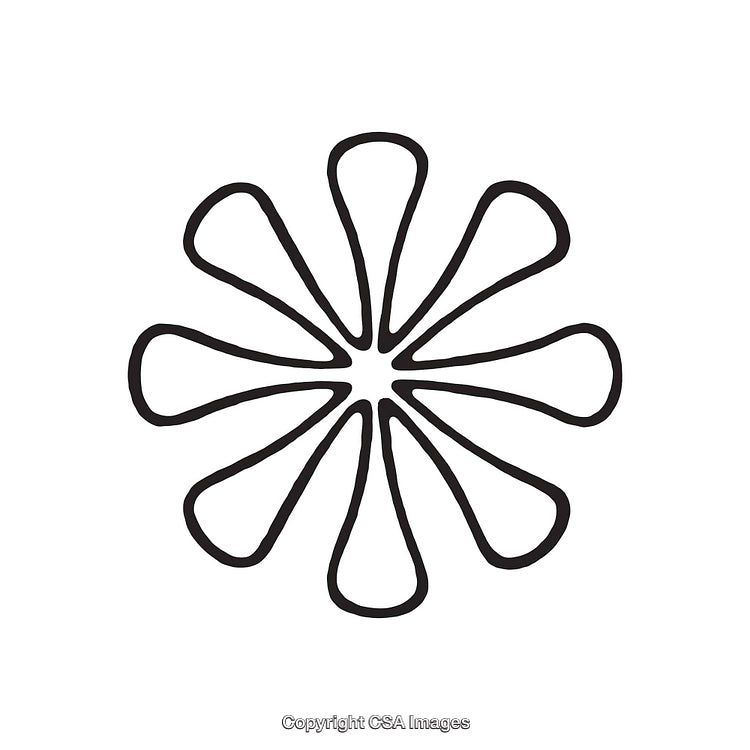Abstract Black and White Symmetrical Floral Design on White Background