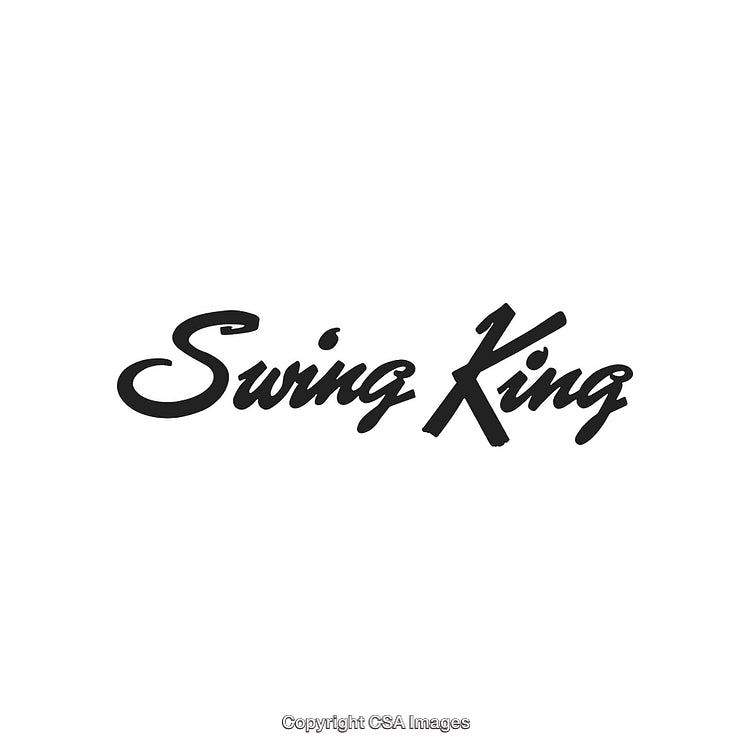 Stylized Text Logo with Artistic Font on White Background