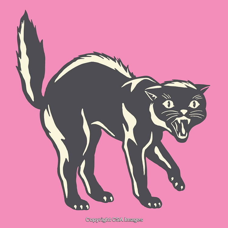 Illustration of a Hissing Black Cat with a Pink Background
