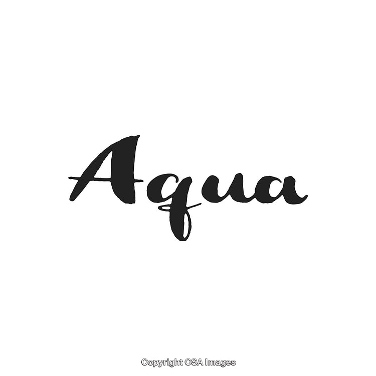 Elegant Handwritten Script Wordmark Featuring 'Aqua' in Black on White Background