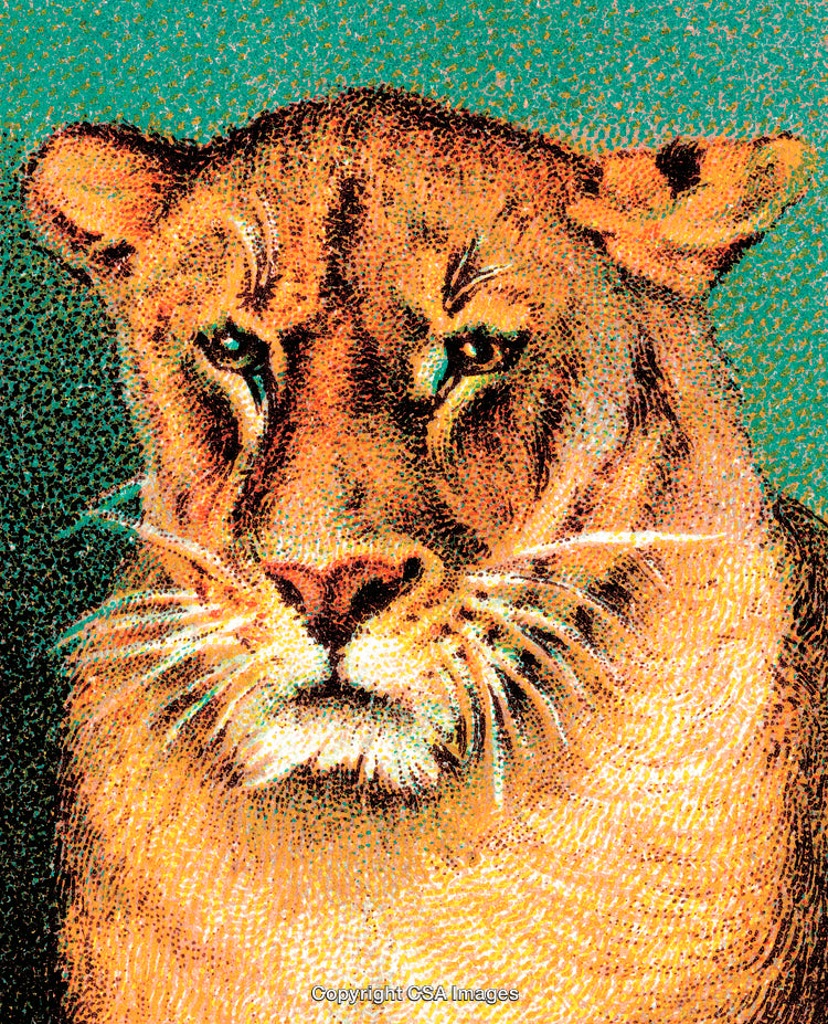 Colorful Pointillism Lion Portrait With Expressive Face on Green Background