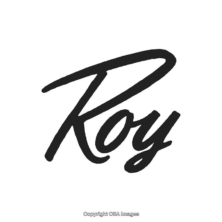 Elegant Black Script Typography of the Word 'Roy' on White Background