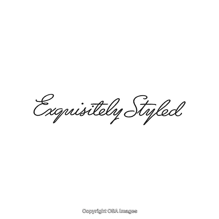 Elegant Script Text Illustration Displaying 'Exquisitely Styled' on White Background