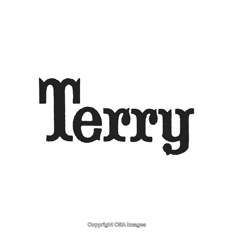 Retro Typography Display of the Name Terry in Bold Black Lettering