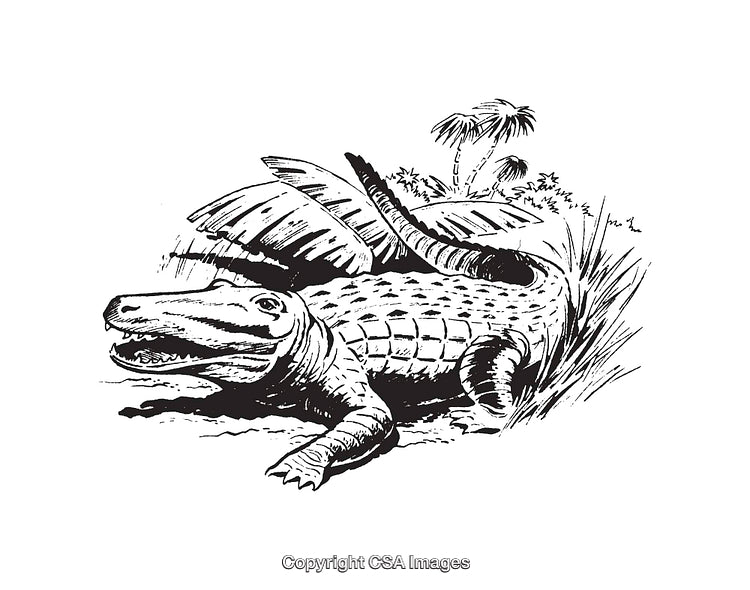 Detailed Black and White Illustration of a Crocodile in Tropical Habitat
