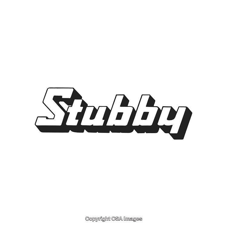 Modern Bold Geometric Font Design with the Word Stubby in Black