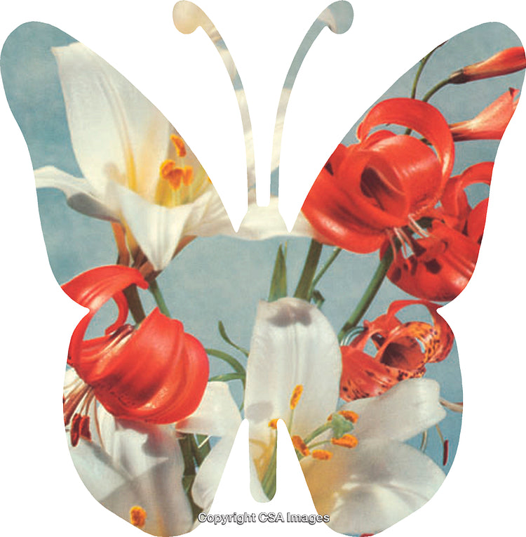 Butterfly Shape Filled with Vibrant Red and White Flowers Over Sky Background