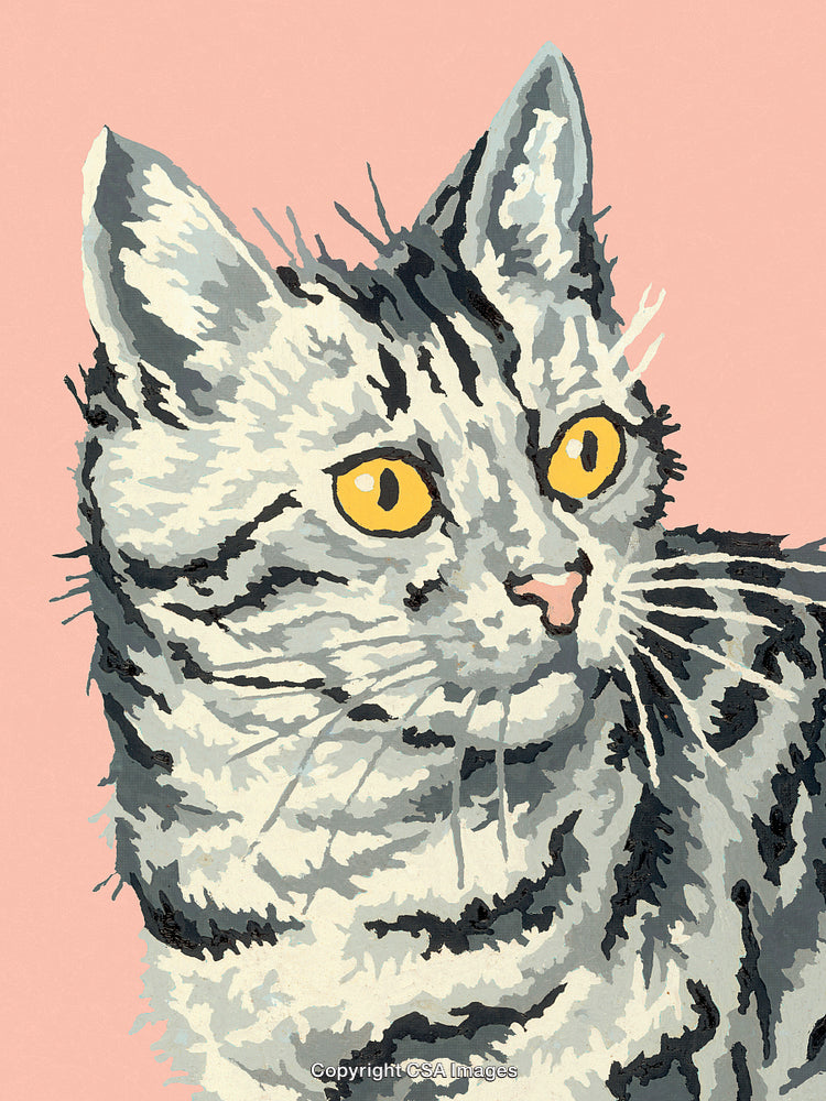 Illustration of a Tabby Cat with Yellow Eyes on a Pink Background