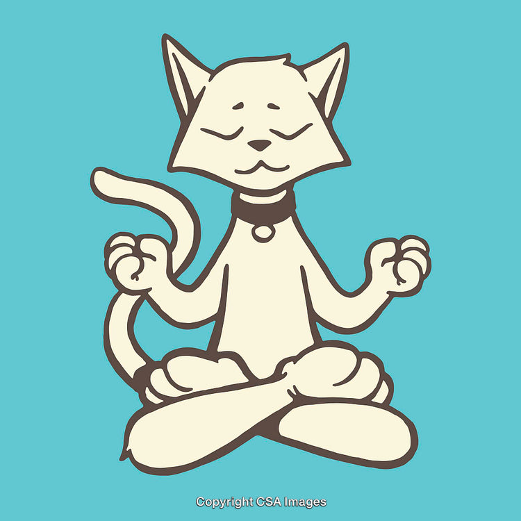 Cute Cartoon Cat Meditating in Lotus Pose on Blue Background