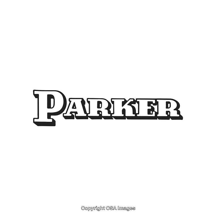 Western-Inspired Bold Text Style with Vintage Serif Typography