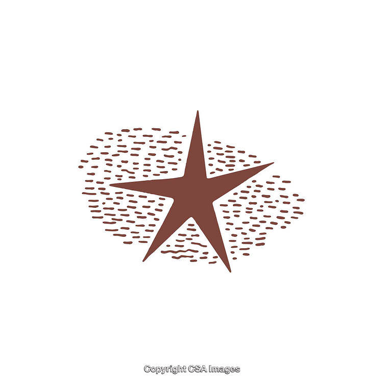 Illustrative Star Design with Decorative Dotted Pattern and White Background