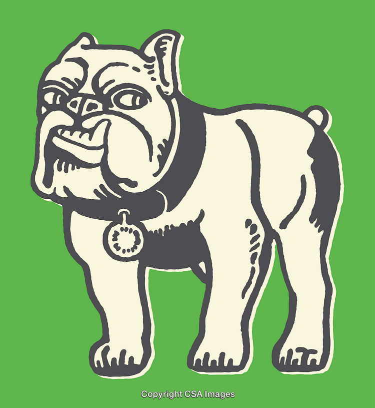 Colorful Line Art Illustration of a Bulldog on Green Background