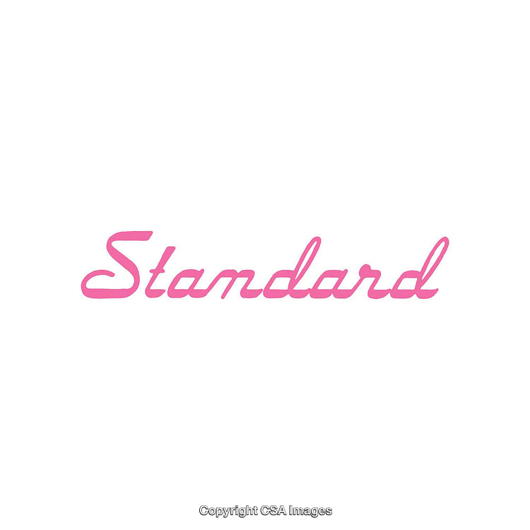Elegant Pink Script Font Spelling the Word Standard on White Background