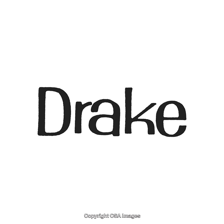 Black Handwritten Text Logo Design on a Plain White Background
