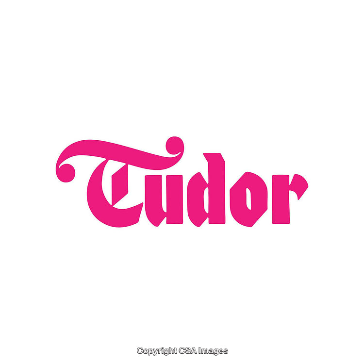 Vibrant Pink Classic Tudor Logo Design on White Background