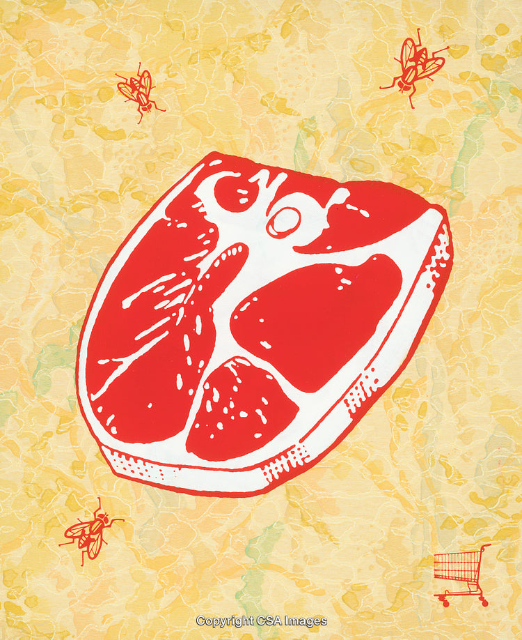 Vibrant Illustration of Meat with Artistic Flies and Shopping Symbolism