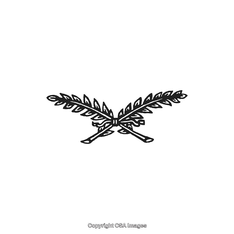 Black and White Decorative Crossed Fern Leaves Illustration
