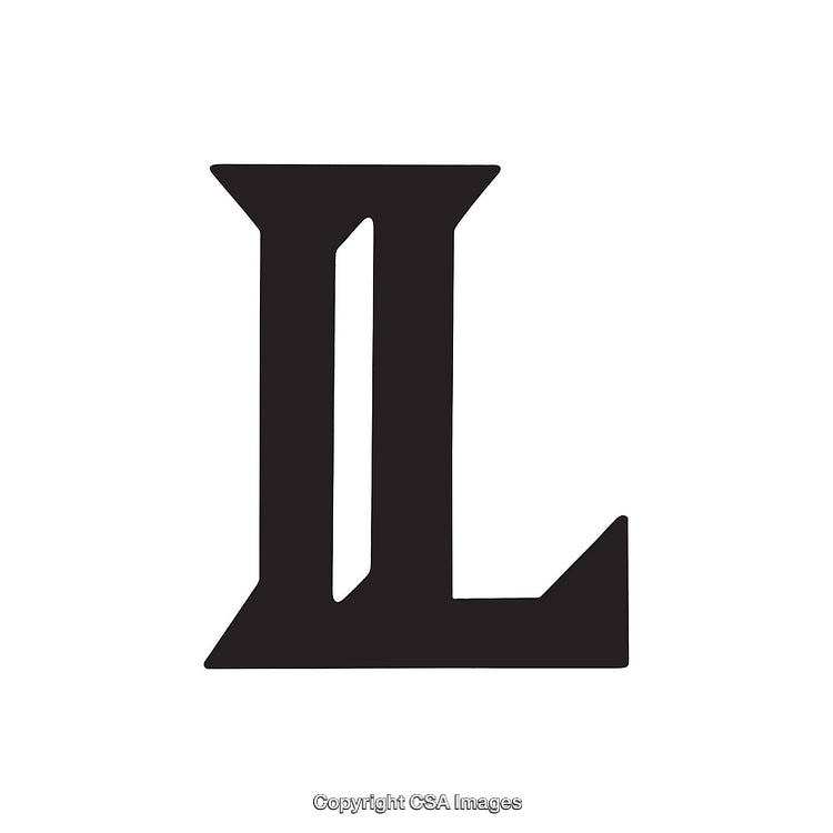 Elegant Black Letter L in Bold Serif Typeface on White Background