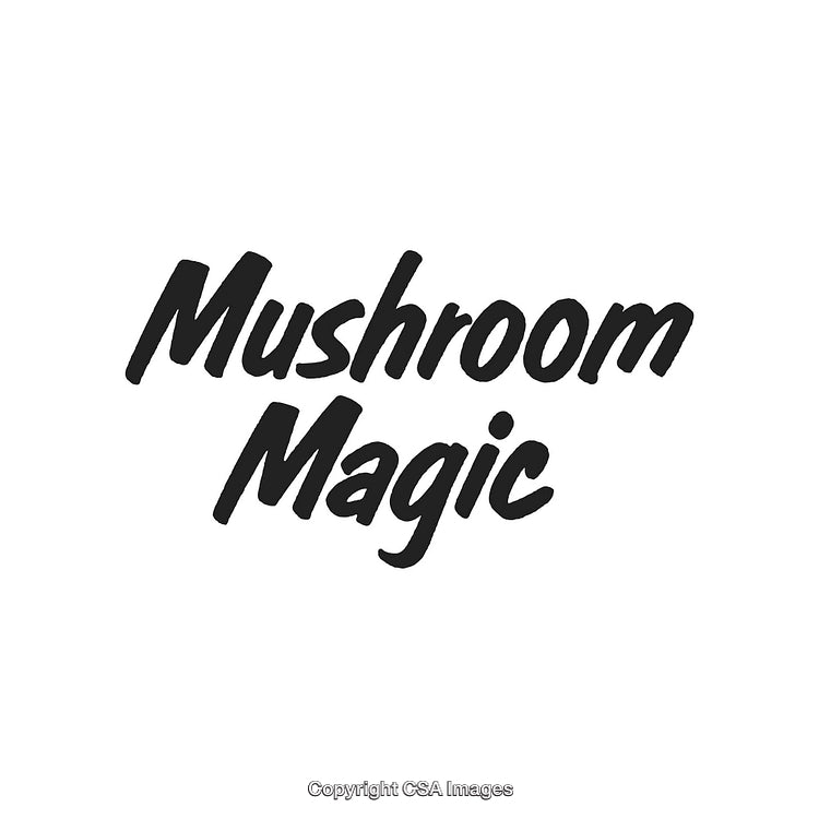 Handwritten Text Depicts Mushroom Magic Concept with Bold Typeface