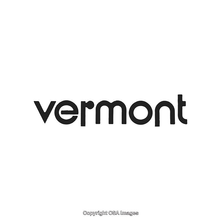 Modern Minimalist Black and White Vermont Logo Design