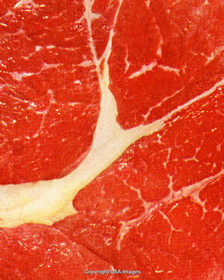 Close-Up View of Fresh Raw Meat Texture with Detail in Marbling