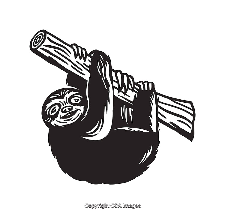 Black and White Line Art of a Sloth Hanging on a Tree Branch