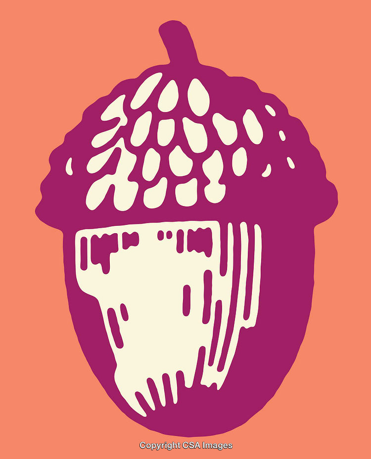 Colorful Line Art Illustration of an Acorn on a Vibrant Background