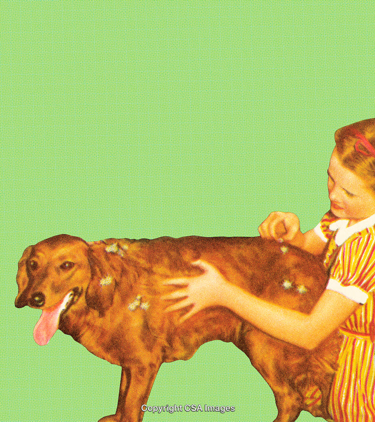 Child Embracing a Friendly Dog on a Vibrant Green Background