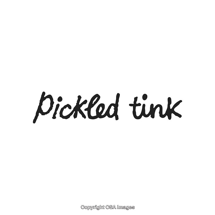 Handwritten Artistic Typography Showcasing the Phrase 'Pickled Tink' in Black Ink