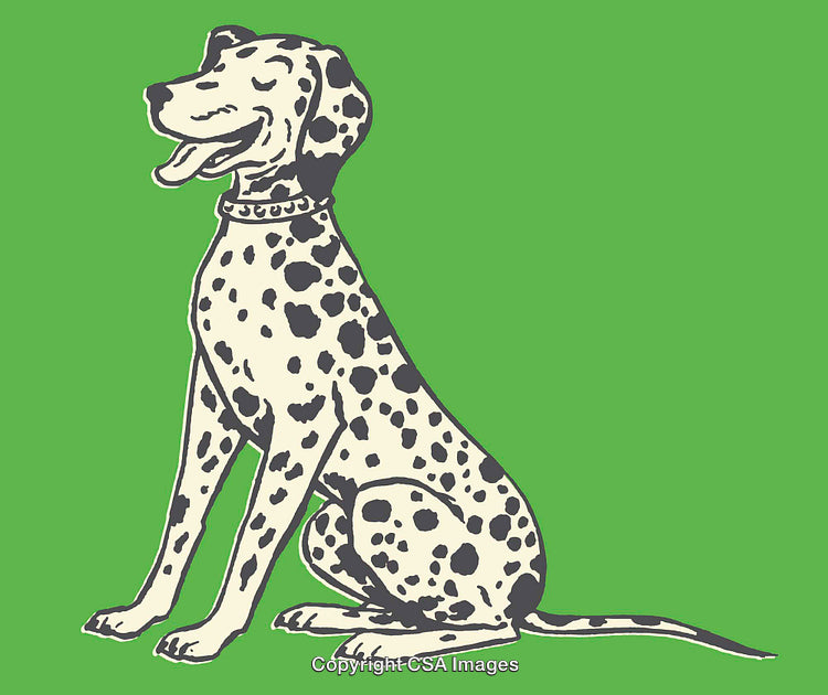 Illustration of a Happy Dalmatian Dog on a Vibrant Green Background