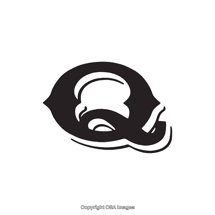 Stylized Black Letter Q With Artistic Flourishes