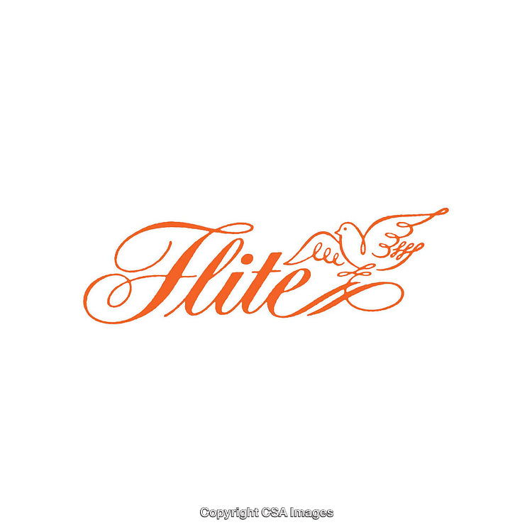Elegant Orange Word Art with Flying Dove Illustration