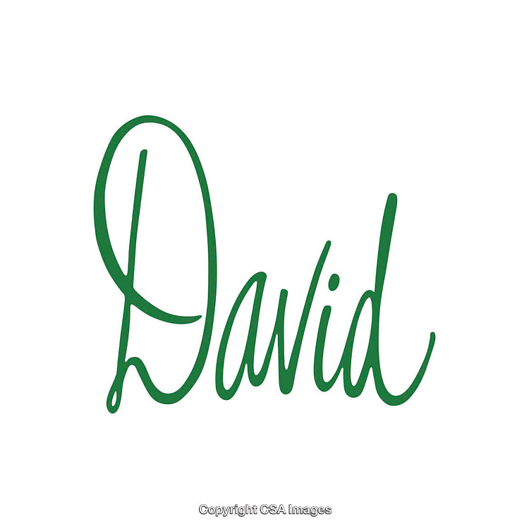 Elegant Handwritten Green Name Design on White Background