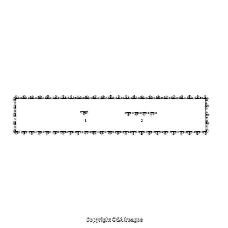 Intricate Black and White Rectangular Border Design with Numbered Details
