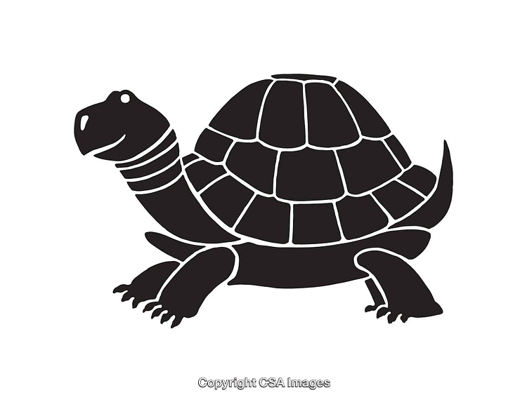 Black and White Graphic Illustration of a Turtle Design