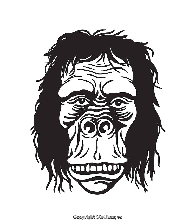 Black and White Illustration of a Primate Face with Detailed Features