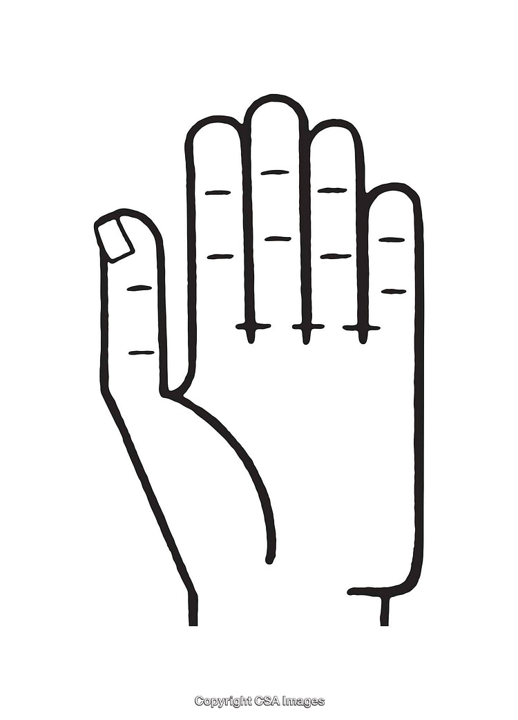 Simple Line Art Illustration of an Open Hand With Marked Segments