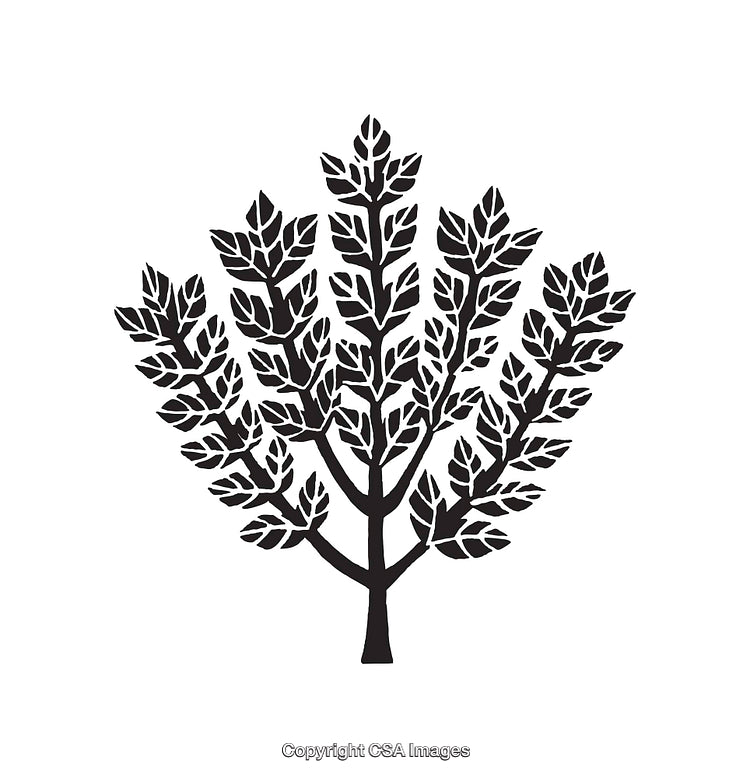 Illustration of a Stylized Black and White Tree with Detailed Branches