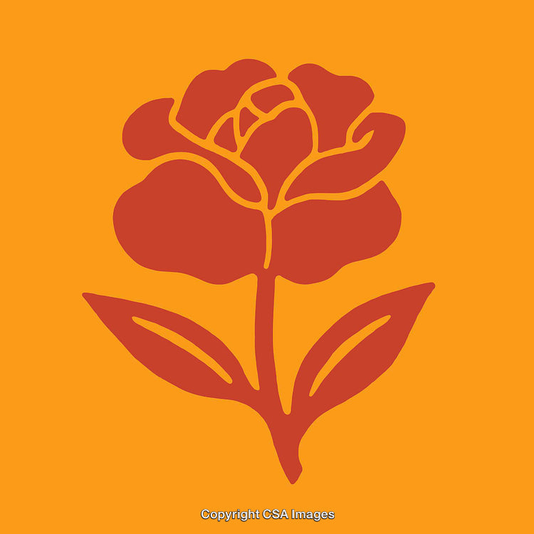 Minimalistic Floral Line Art Illustration with Bold Colors