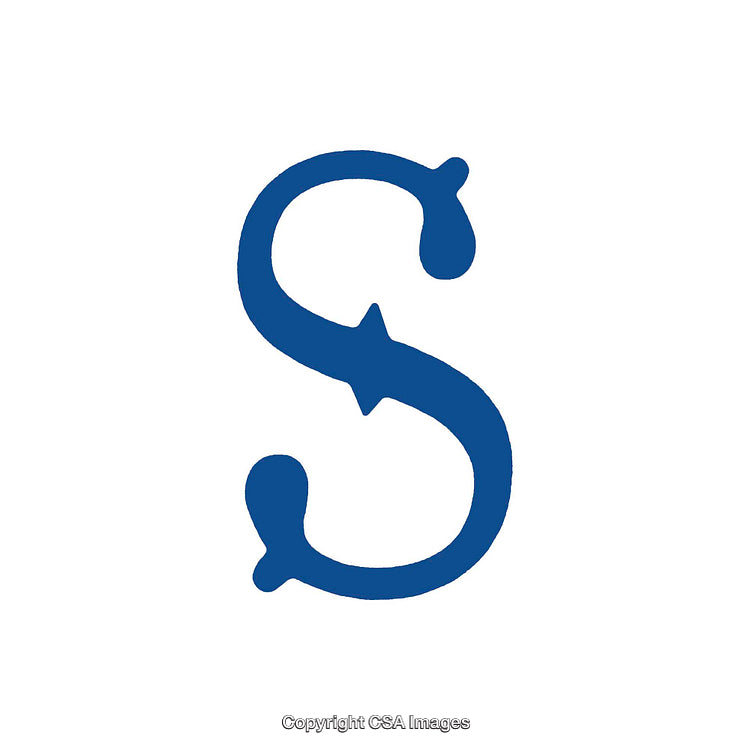 Classic Blue Letter S Design on Clean White Background