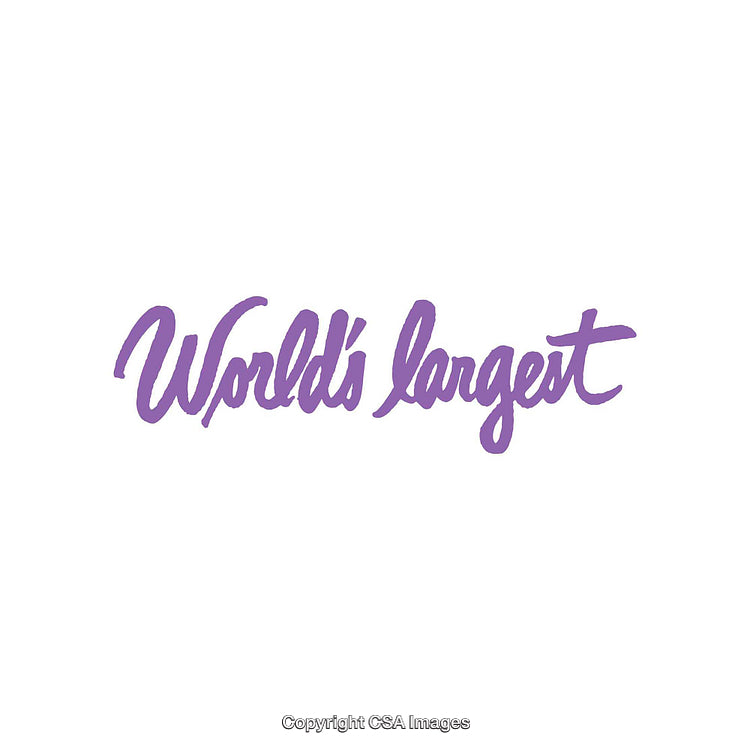 Elegant Purple Handwritten Text on a Clean White Background