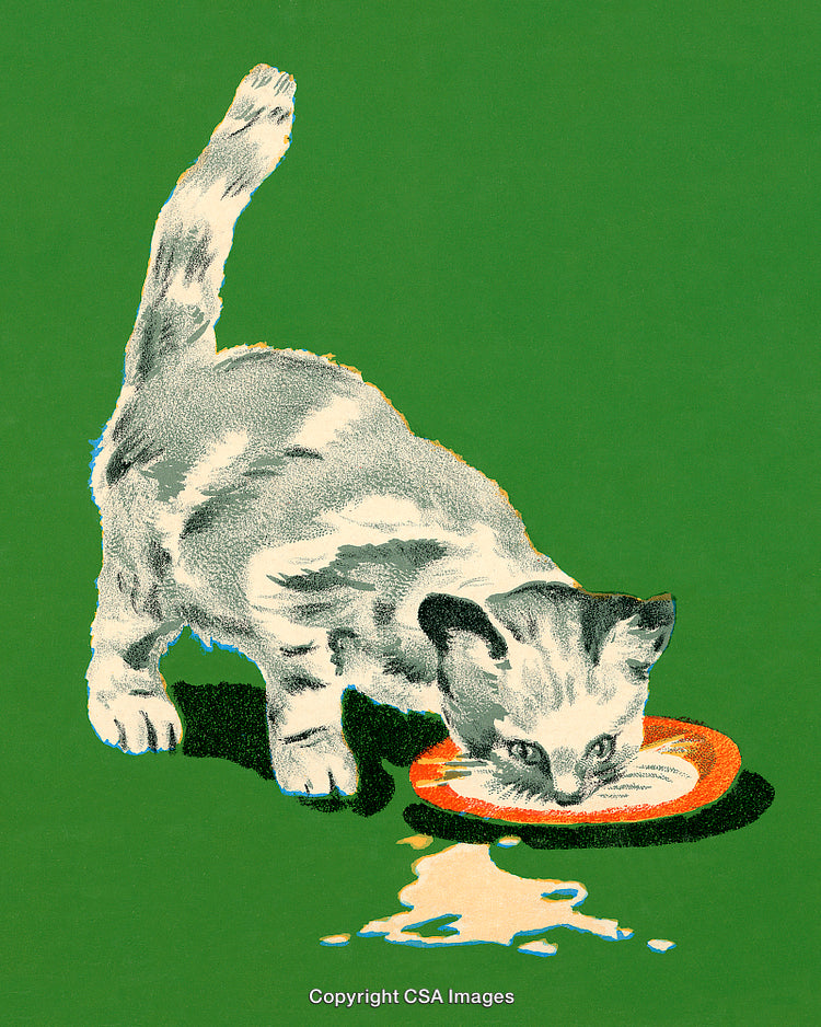 Young Kitten Drinking Milk from a Bowl on a Green Background