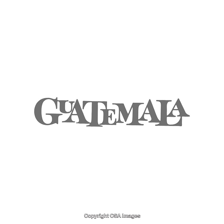 Elegant Monochrome Style Typography Featuring Guatemala Text in Artistic Font