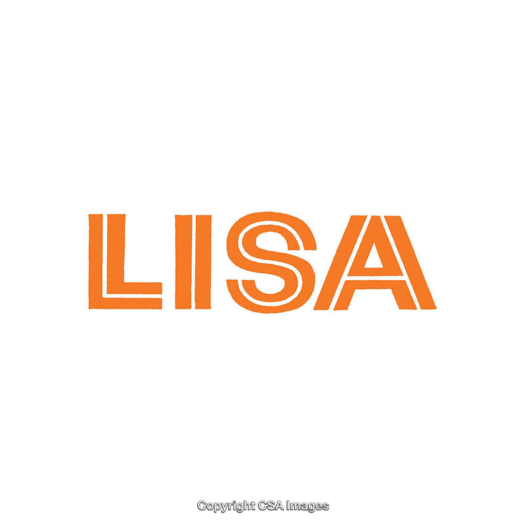 Bold Orange Typography Design Focused on the Name 'Lisa' in Capital Letters